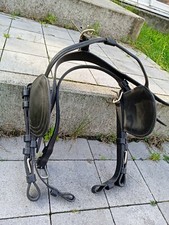 Bridon cuir poney d'occasion  Carvin