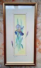 Framed print iris for sale  WELWYN GARDEN CITY