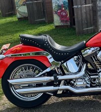 Harley davidson softail for sale  DEVIZES