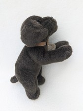 Keel basil puppy for sale  BEDFORD
