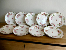 Neuf assiettes plates usato  Spedire a Italy
