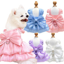 Chihuahua pet puppy d'occasion  Expédié en Belgium