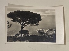 Cartolina panorama mare usato  Trieste