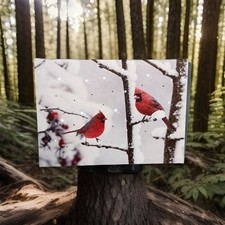 Cardinals love led for sale  Yuba City