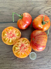 Tomatensamen tomate confetti gebraucht kaufen  Schwetzingen