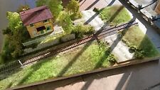 Plastico ferroviario diorama usato  Volterra