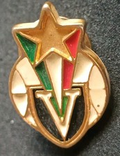Spilla pins distintivo usato  Bologna