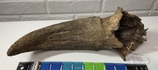 Large ice age for sale  Glenwood