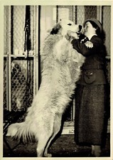 1936 press photo d'occasion  Expédié en Belgium