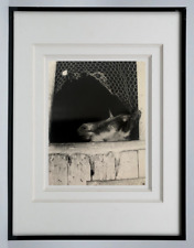 Marcel coen photograph d'occasion  Expédié en Belgium