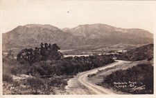Tujunga california manzanita d'occasion  Expédié en Belgium