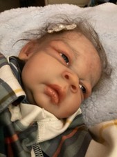 Reborn baby dolls for sale  Quincy