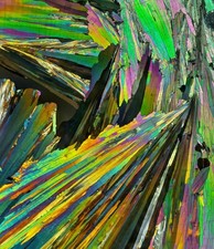 Slid microscopio per usato  Spedire a Italy