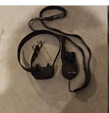 Sports dog collar for sale  Palm Coast
