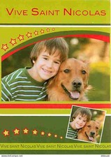 Animaux chiens golden d'occasion  Fruges