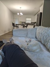 Cream colored luxury for sale  Greenville