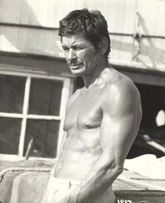 Charles bronson actor for sale  USA