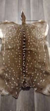 Axis deer hide for sale  San Antonio
