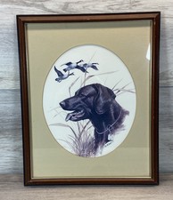 Mcdonald black lab for sale  Wayland