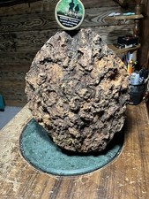 Burl sealed seasoned for sale  Grand Rapids
