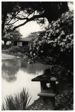 Japon kyoto jardins d'occasion  Pagny-sur-Moselle