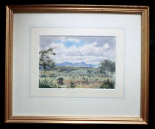 Original harrison painting for sale  NORWICH