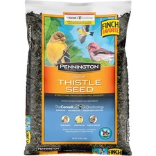Select thistle seed for sale  Ohatchee