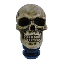 Shifter knob skull for sale  University Park