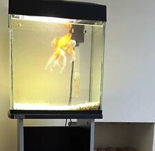 Fish fun tank for sale  WALTHAM ABBEY