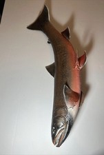 Beautiful arctic char for sale  Howell