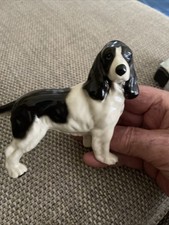 China dog spaniel for sale  MAIDENHEAD