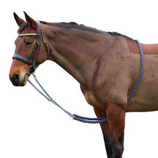 Horse lunging aid for sale  LEICESTER