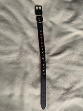 Studded black dog for sale  SCUNTHORPE
