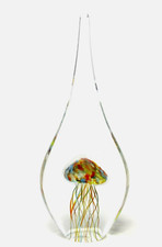 jellyfish for sale jellyfish for sale LEEDS