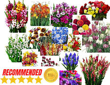 Mixed beautiful garden for sale  MELTON MOWBRAY