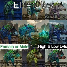 Asa artiglio anziano usato Asa artiglio anziano usato  Spedire a Italy