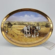 Piatto decorativo vintage usato  San Giorgio a Liri