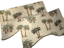Robertson curtain palm for sale  Peoria