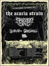 Acacia strain frozen for sale  New York