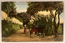 1919 A Pampas Grass Road na Califórnia, casal, carro, cartão postal antigo comprar usado  Enviando para Brazil