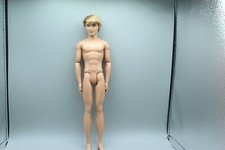 Barbie ken doll for sale  Horseheads