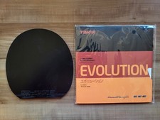 Tibhar evolution china gebraucht kaufen  Großenlüder