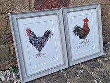 Madeleine floyd chicken for sale  WITHAM