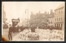 Watford sheep market for sale  LYDNEY