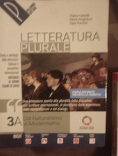 letteratura 3b usato  Torino