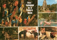 Carte postale zoo d'occasion  Angers-