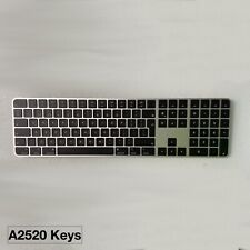 Usado, Teclado Apple Magic A2520 com teclado numérico e Touch ID - Preto 1x TECLA E DOBRADIÇA comprar usado  Enviando para Brazil