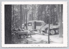 Vintage streamliner camper for sale  Saint Louis
