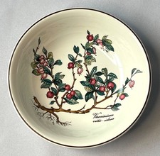 Villeroy boch botanica gebraucht kaufen Villeroy boch botanica gebraucht kaufen  Schwentinental
