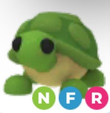 Adopt nfr turtle usato  Catania